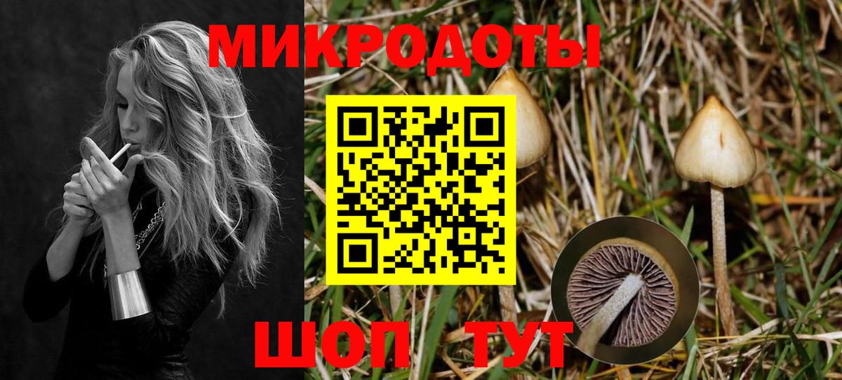 купить наркотики цена  Галлюциногенные грибы ЛСД  Вход с VPN  Знаменск 